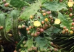 dsc04081
