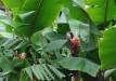 dsc04086