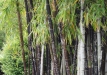 dsc04120