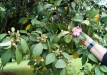 dsc04142
