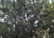 dsc05155