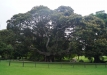 dsc05210