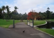 dsc05215