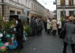 Sodo kraitė 2011