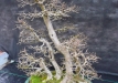 p1160459
