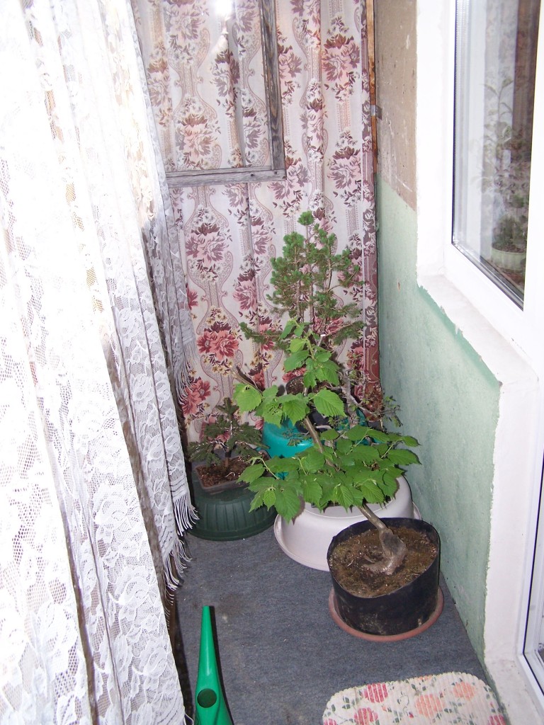 Lentyna balkone 1 Lentyna balkone 1