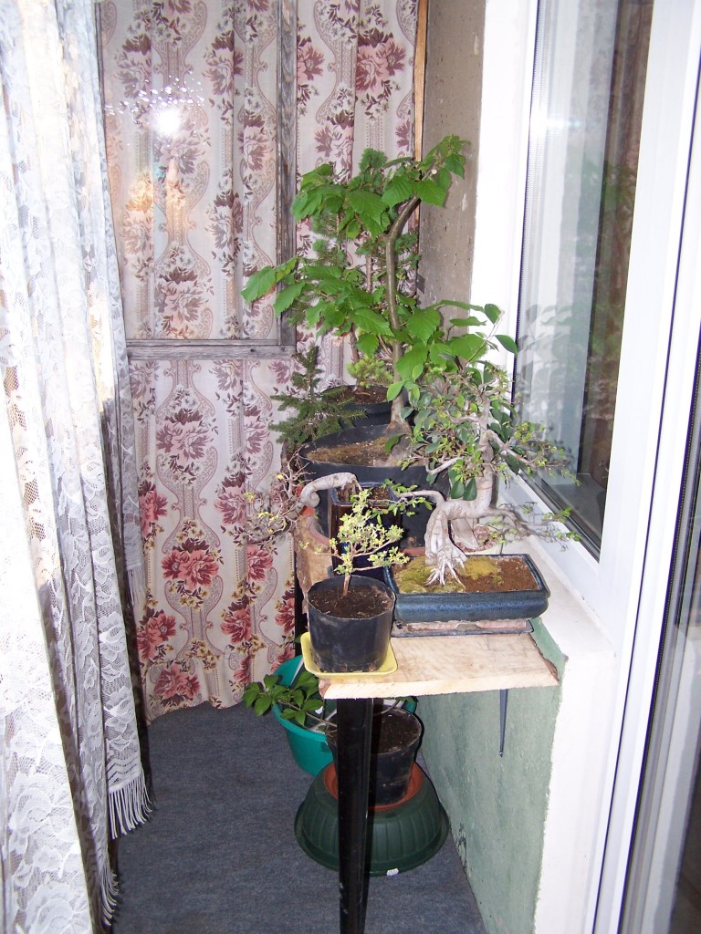Lentyna balkone 4 Lentyna balkone 4