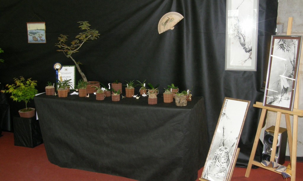 Žali horizontai Bonsai 
