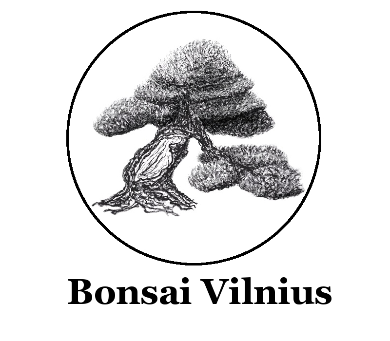 BV logo 2013-8