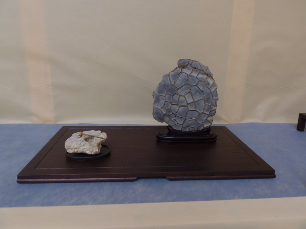 Spirit of Turtle (Vėžlio dvasia), Walter Schreiner