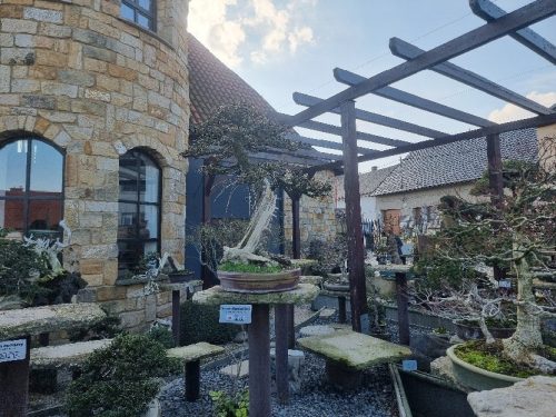 Bonsai Museum Isabelia, 2026