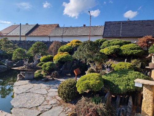 Bonsai Museum Isabelia, 2026