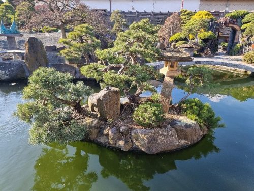 Bonsai Museum Isabelia, 2026